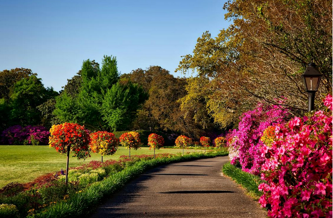 garden